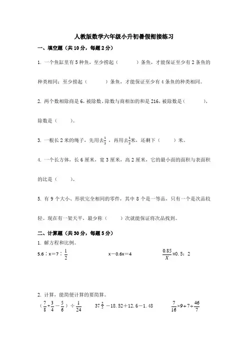 小升初暑假衔接(试题)六年级上册数学人教版