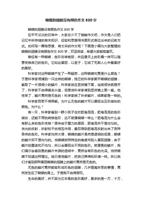 蝴蝶的翅膀没有颜色作文800字