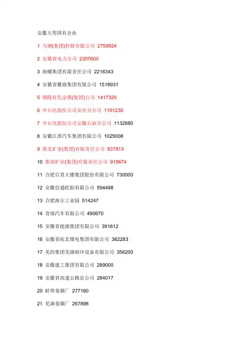 安徽大型国企