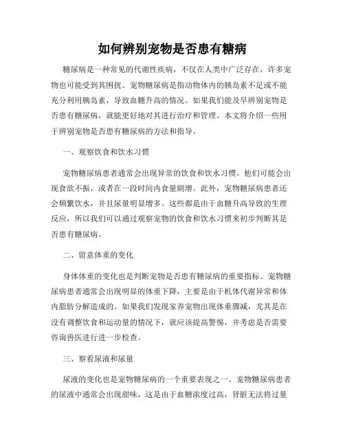 如何辨别宠物是否患有糖病