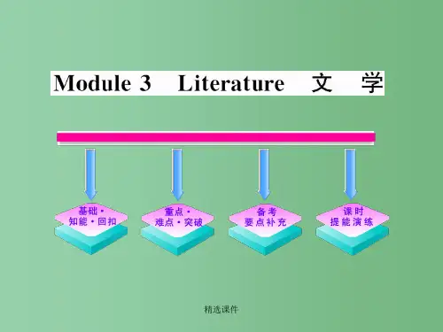 高中英语一轮复习 Module3 Literature课件 外研版选修7