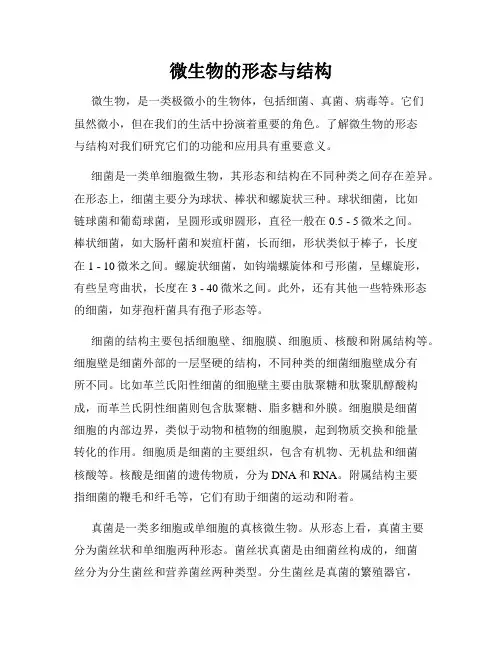 微生物的形态与结构