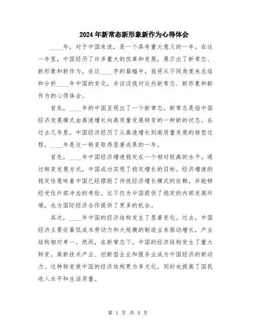 2024年新常态新形象新作为心得体会