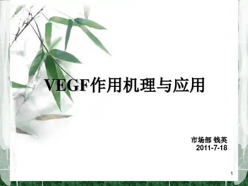 VEGF作用机理与靶向