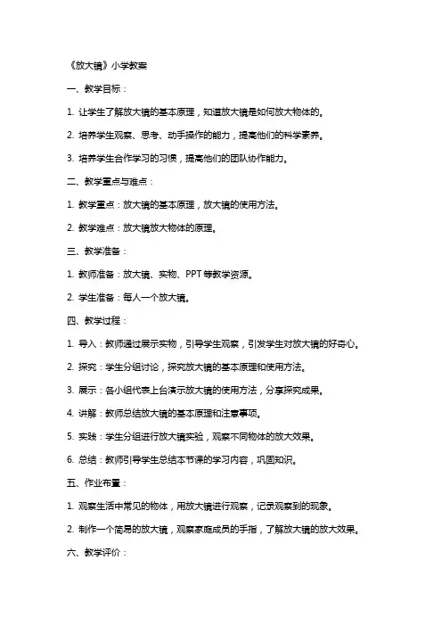 《放大镜》小学教案