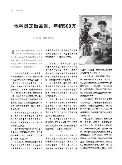 他种灵芝做盆景,年销500万