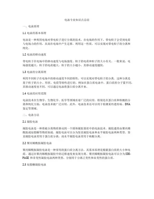 电泳专业知识点总结