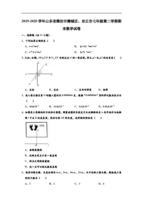 2019-2020学年山东省潍坊市潍城区、安丘市七年级下学期期末数学试卷 (解析版)