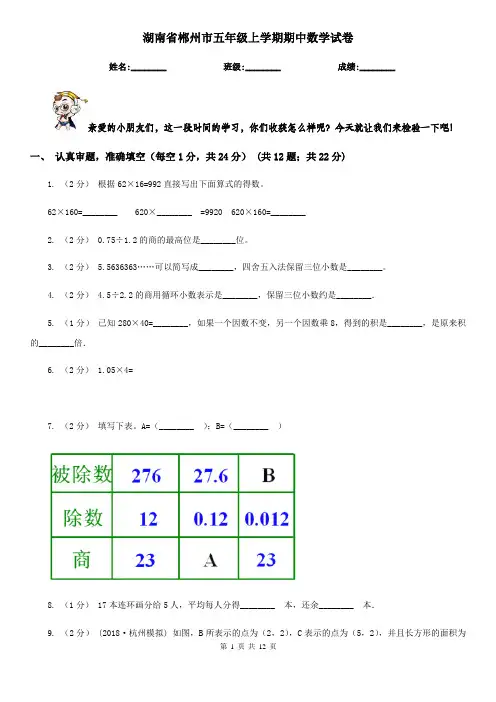 湖南省郴州市五年级上学期期中数学试卷