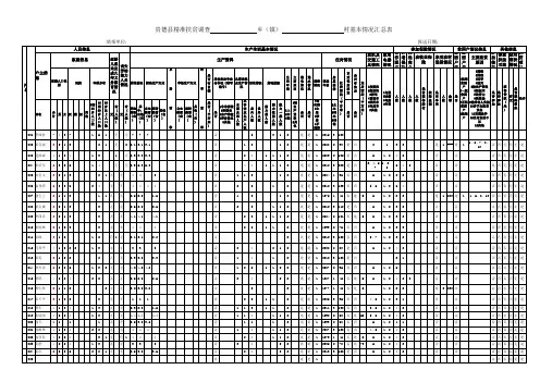 村级基本情况汇总表