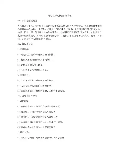 可行性研究报告丙级资质