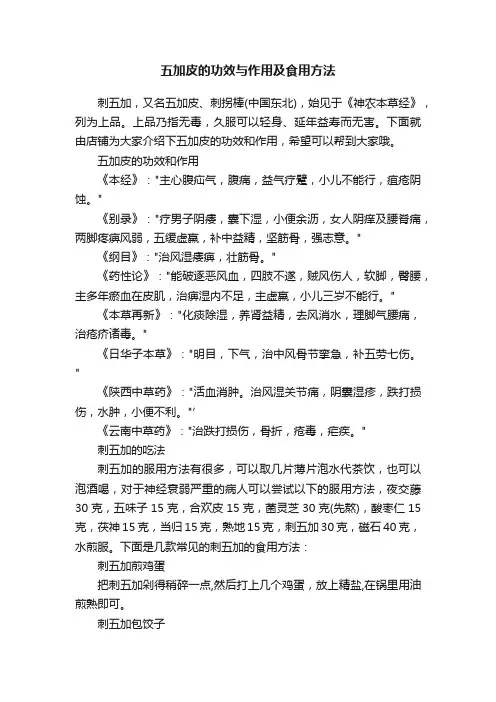 五加皮的功效与作用及食用方法