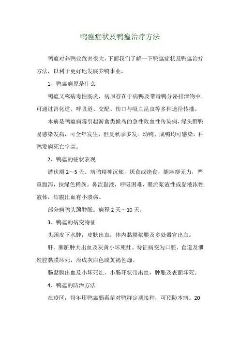 鸭瘟症状及鸭瘟治疗方法