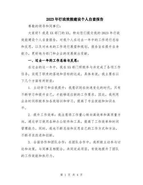 2023年行政效能建设个人自查报告