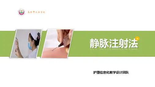 静脉注射法课件(PPT课件)