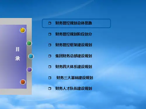 集团财务五年发展规划PPT55页