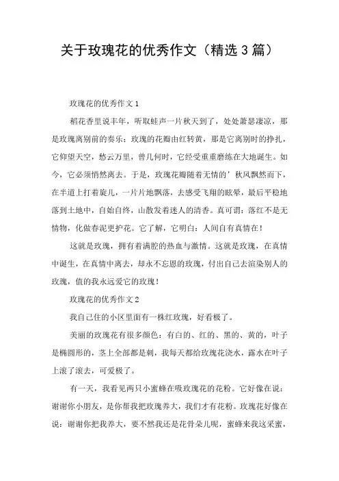 关于玫瑰花的优秀作文(精选3篇)