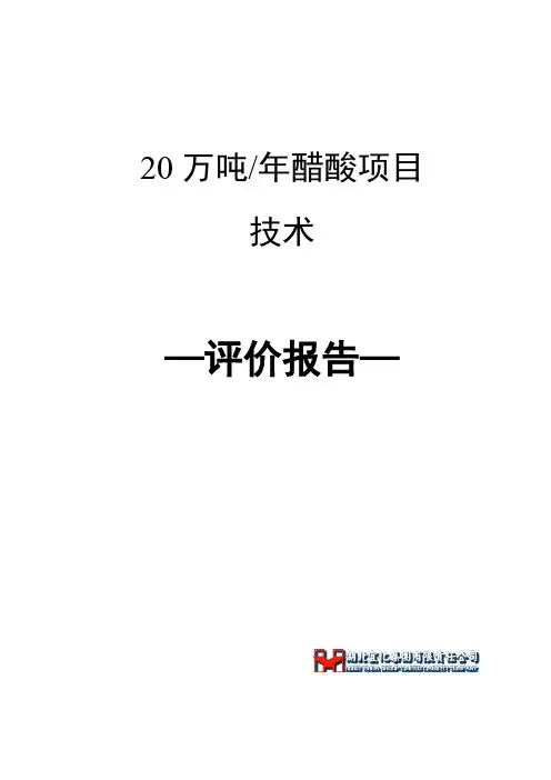 20万吨醋酸工艺技术方案