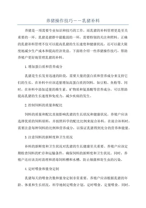 养猪操作技巧――乳猪补料