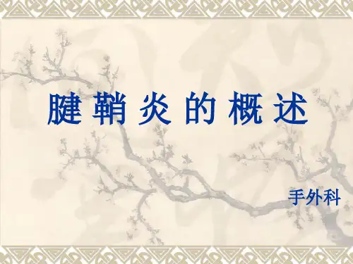 腱鞘炎的概述PPT课件