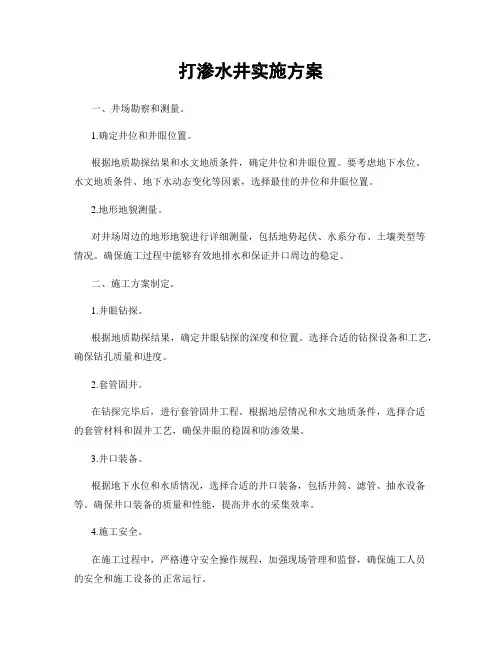 打渗水井实施方案