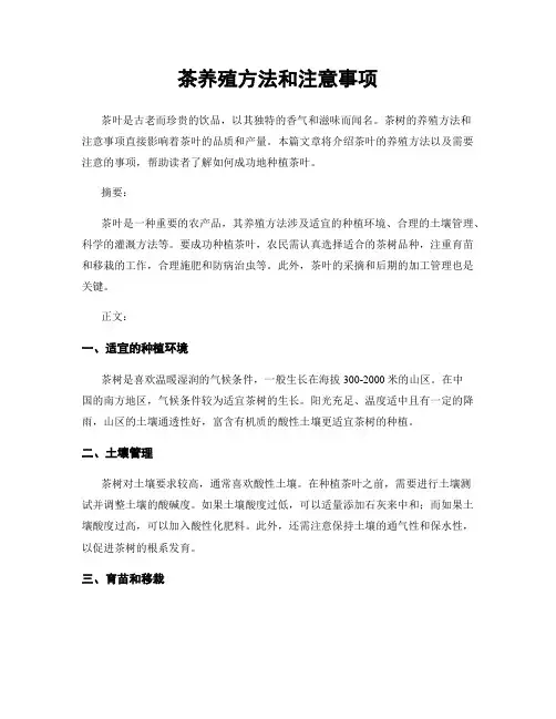 茶养殖方法和注意事项