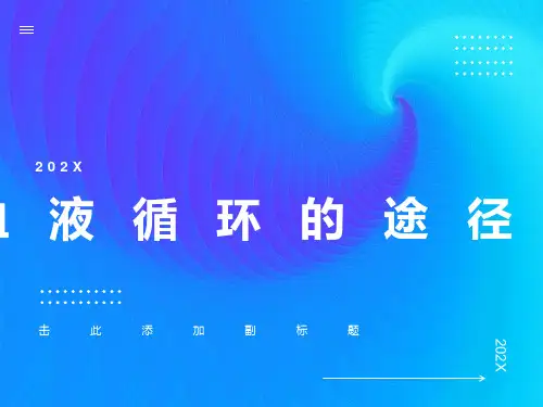 血液循环的途径