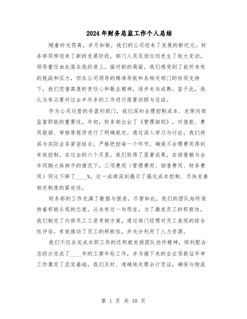 2024年财务总监工作个人总结（六篇）