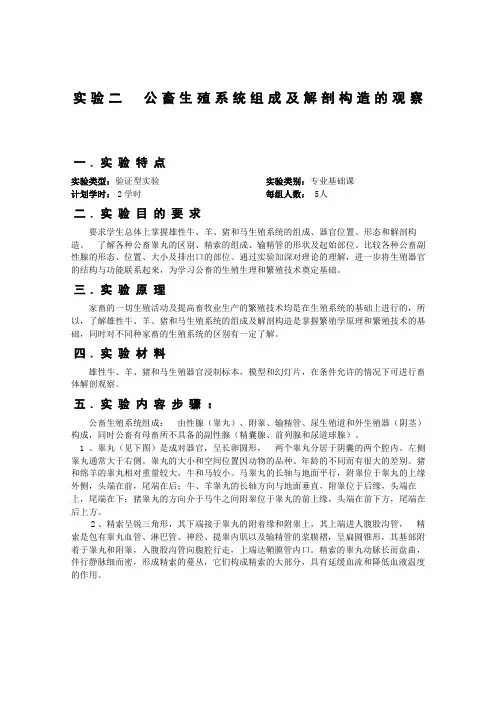 公畜生殖系统组成及解剖构造的观察汇总