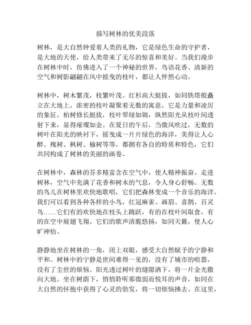 描写树林的优美段落