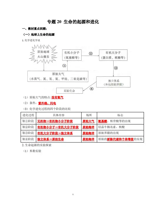 人教版生物中考一轮复习：生命的起源和进化(解析版)