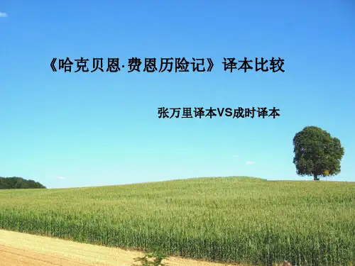 哈克贝利·费恩译本比较