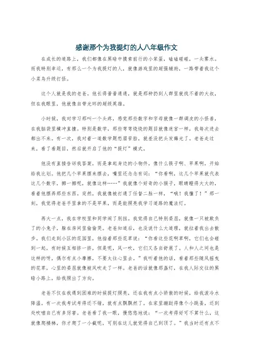 感谢那个为我提灯的人八年级作文