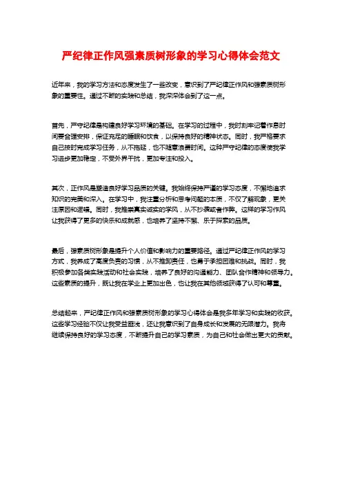 严纪律正作风强素质树形象的学习心得体会范文 (2)