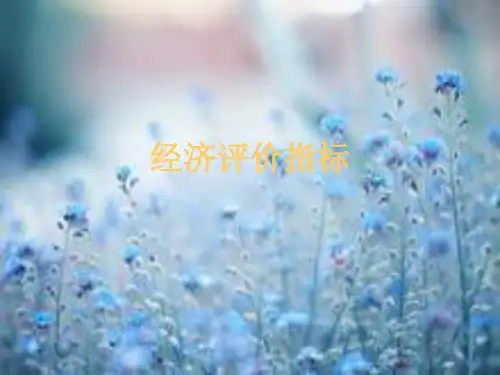 经济评价指标PPT精品课件