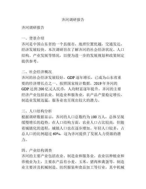 齐河调研报告