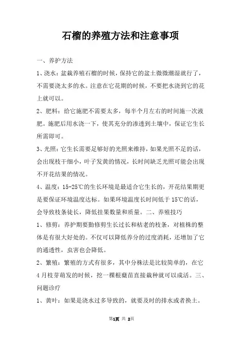 石榴的养殖方法和注意事项 