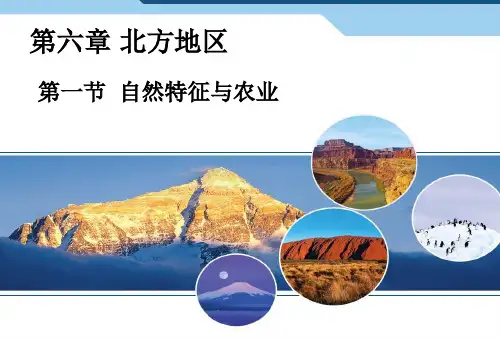 人教版八年级地理下《北方地区》课件