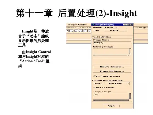 Patran PPT教程_第11章  后置处理(2)-Insight