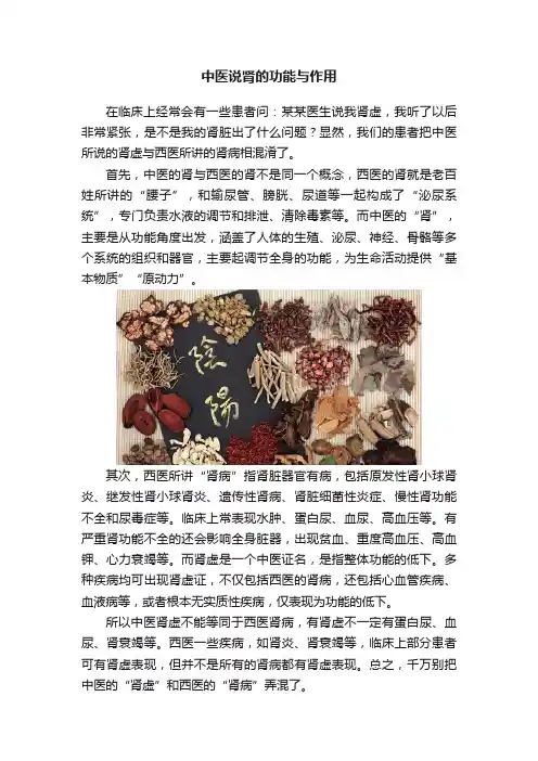 中医说肾的功能与作用