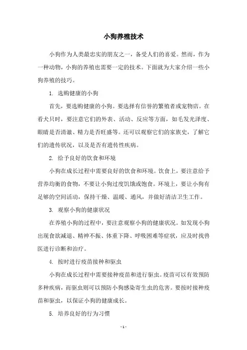小狗养殖技术