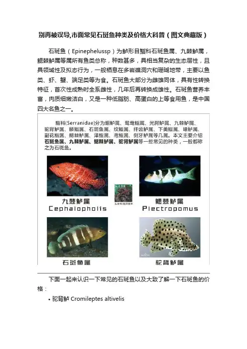 别再被误导,市面常见石斑鱼种类及价格大科普（图文典藏版）