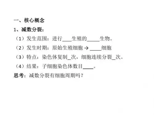 减数分裂-一轮复习