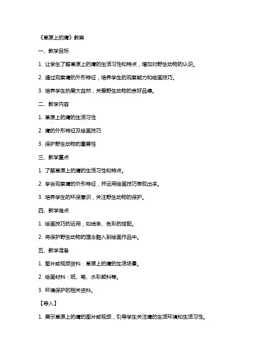 《草原上的鹰》教案
