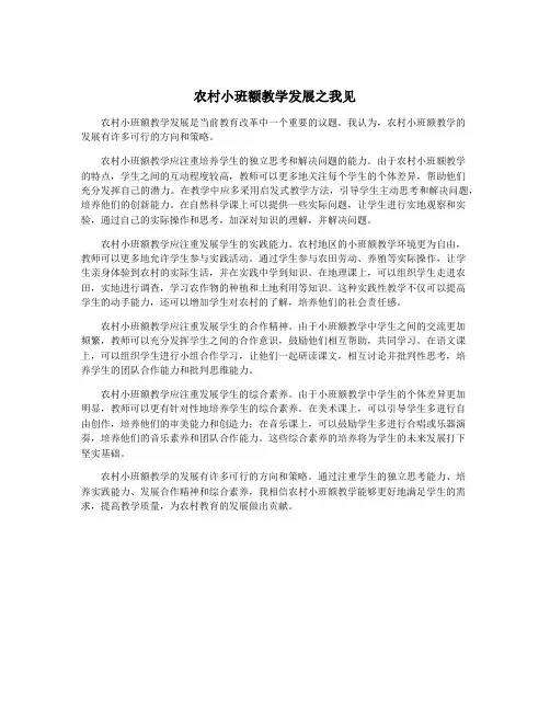 农村小班额教学发展之我见