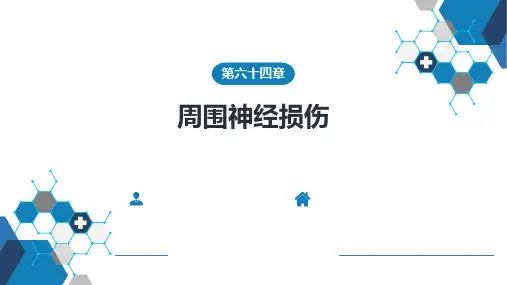 外科学-第六十四章 周围神经损伤-第六十五章 运动系统慢性损伤