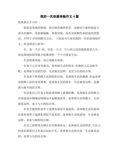 我的一次创意体验作文4篇