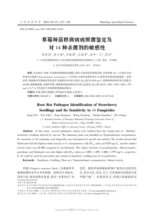 草莓种苗根腐病病原菌鉴定及对14种杀