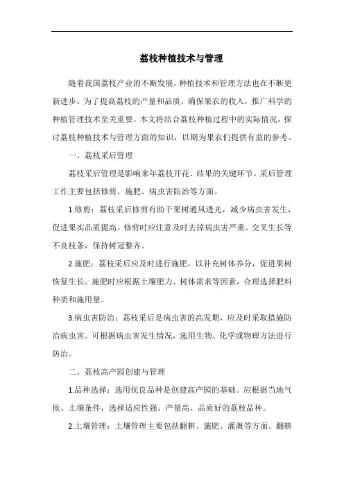 荔枝种植技术与管理