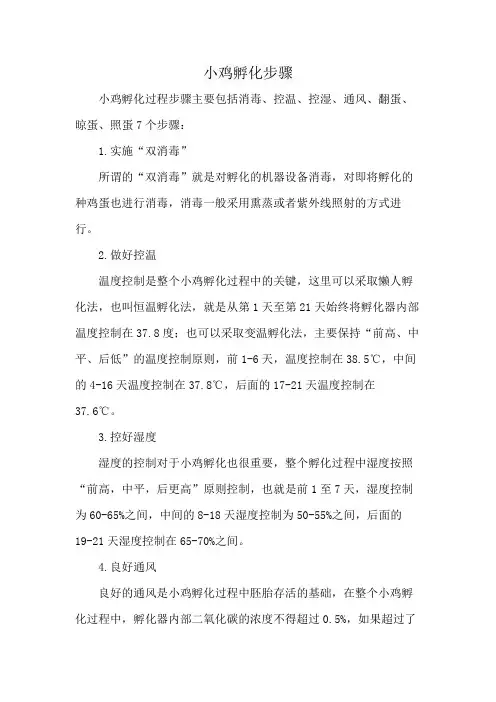 小鸡孵化步骤
